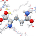 l glutamine